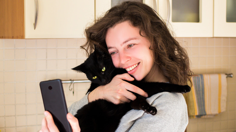 Welcoming a cat home