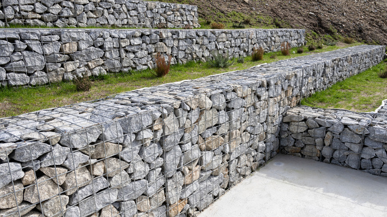 Terraced gabion walls on a hill.