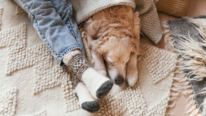 Warm socks and dog sleeping