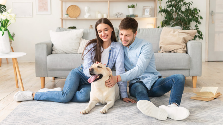 Family with a pet