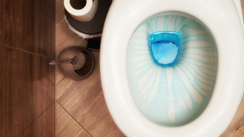 Top view of a blue toilet cleaner inside of a toilet next to a brown toilet brush and roll of toilet paper