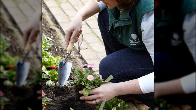 A woman using a Burgon & Ball hand garden tool to plant a flower