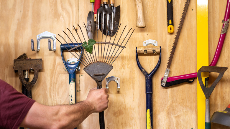 A person grabbing a rake from a wall full of garden tools