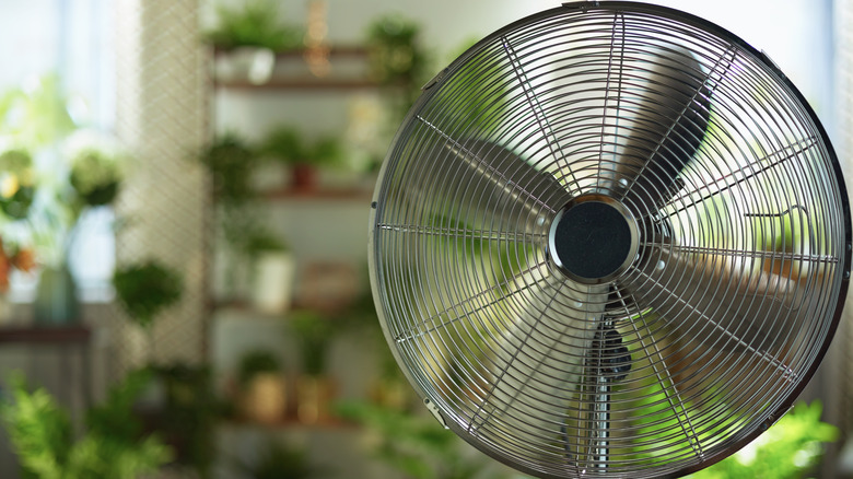 Floor fan in cute room 