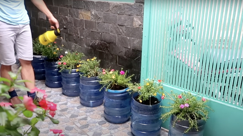 Self watering planters made of a 5 gallon water jug