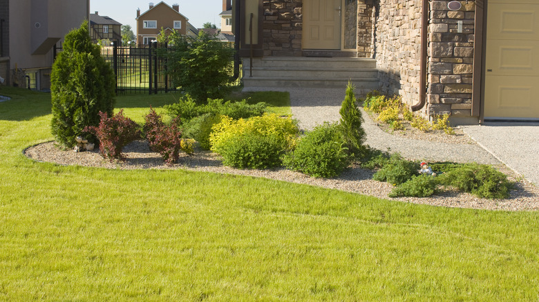 sunny house lawn