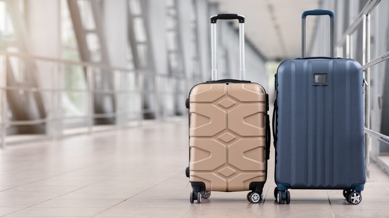 Two roller suitcases