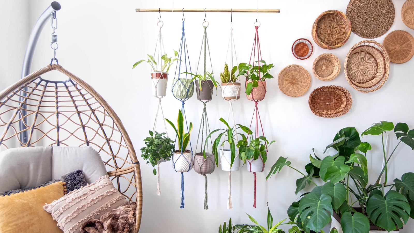 5 Houseplants You Can Grow In Low Light