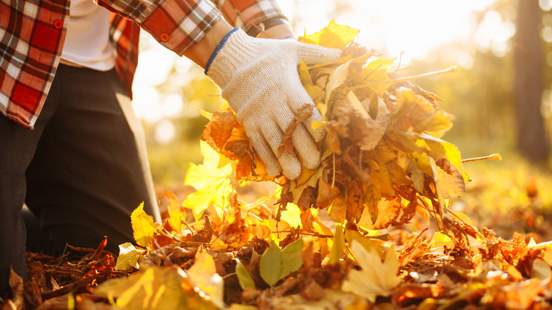 gloved hand with leaves