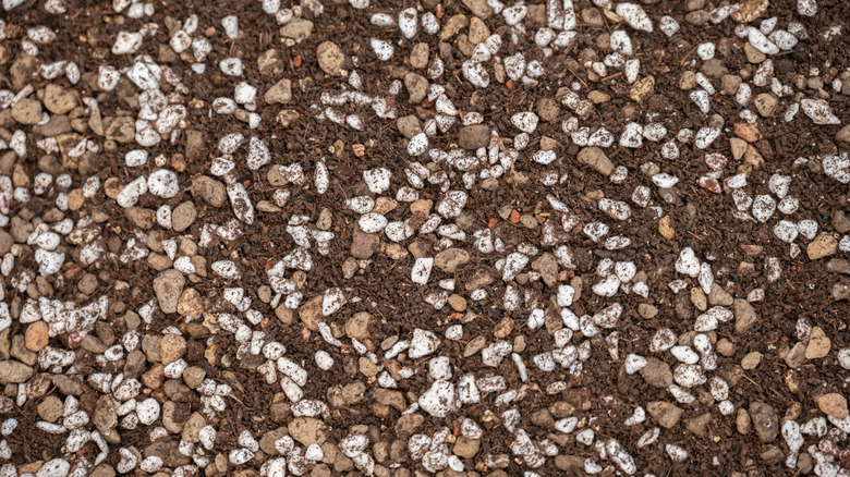 coarse mixed soil
