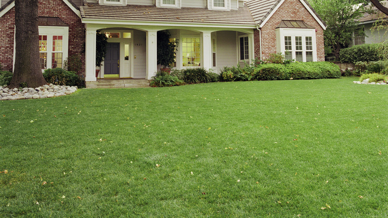 home with a green lawn