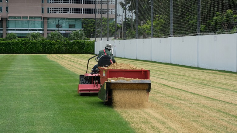 topdressing lawn with sand