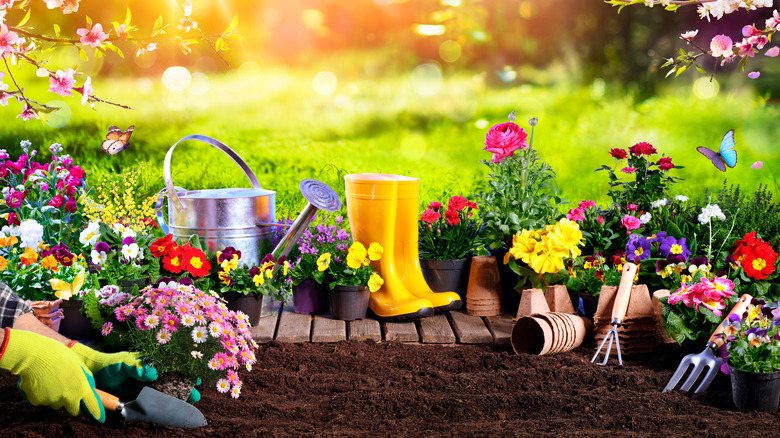 garden with boots and tools