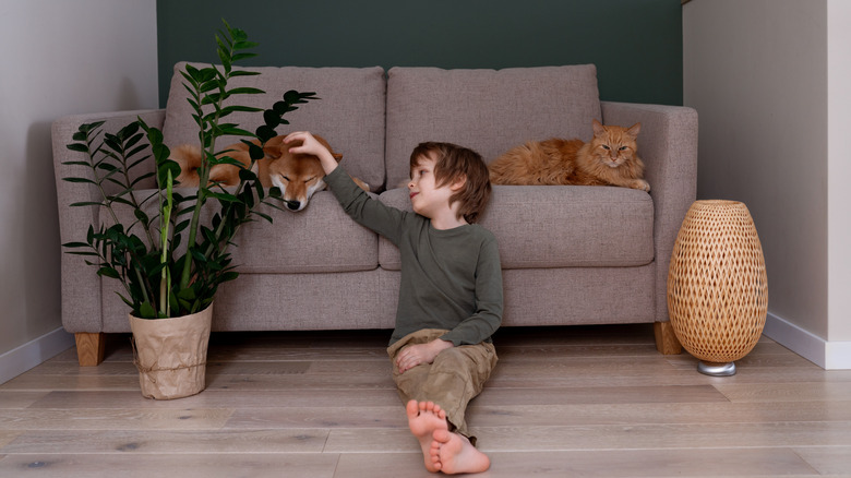 child with pets