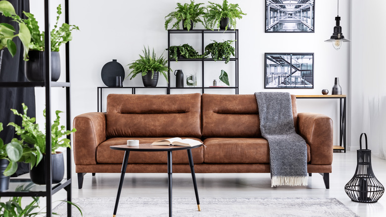 Brown leather couch interior