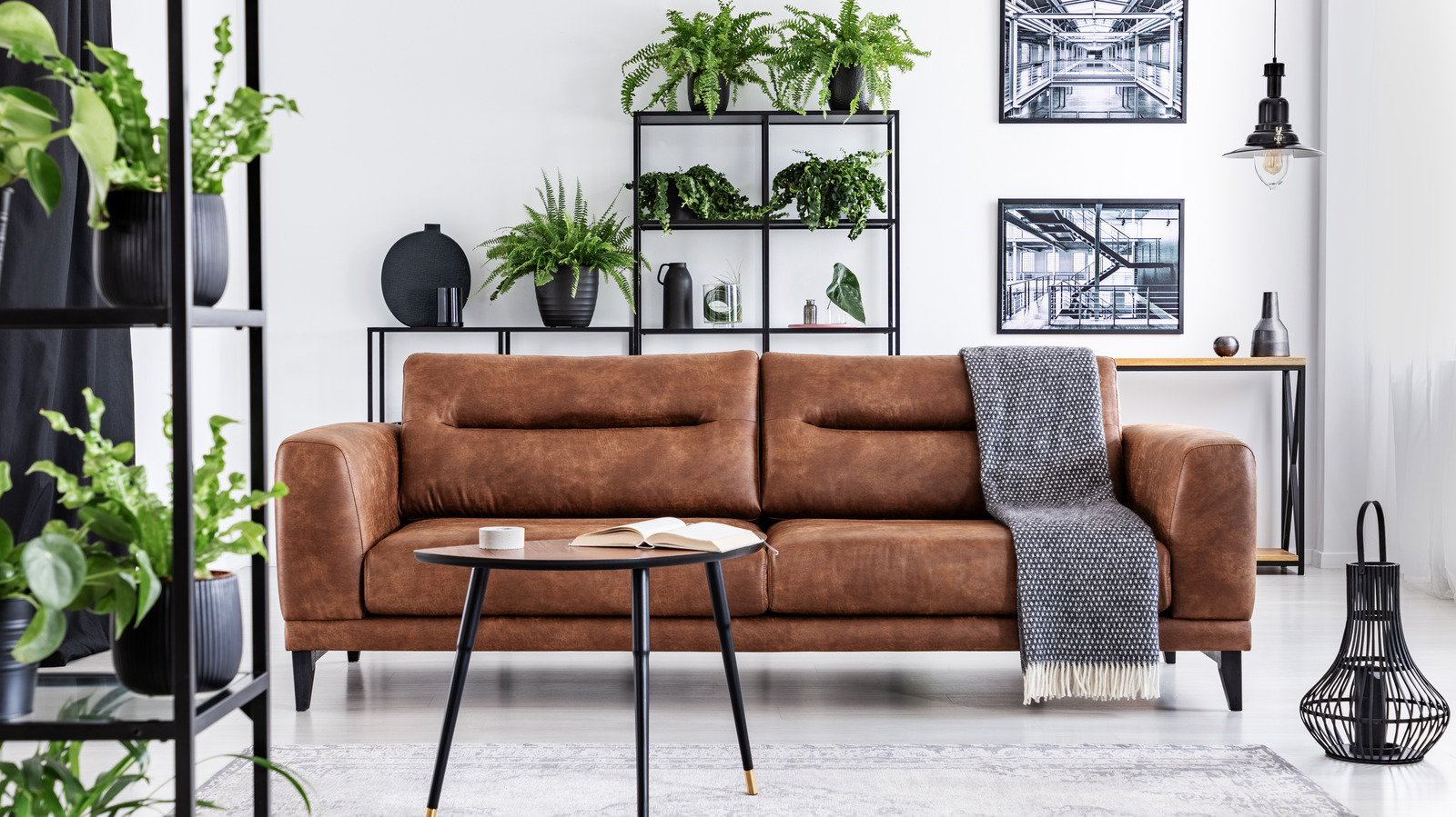 5 Paint Colors That Will Go Perfectly With Your Brown Couch
