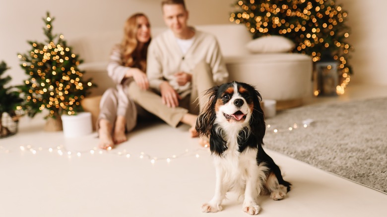 Couple with their dog