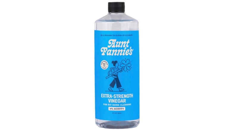 A bottle of Aunt Fannie's Extra-Strength Vinegar