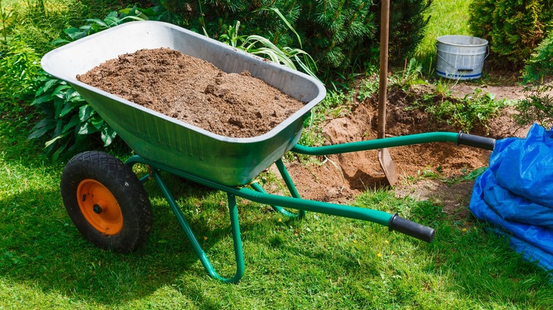 Reasons to Start Using Horticultural Sand