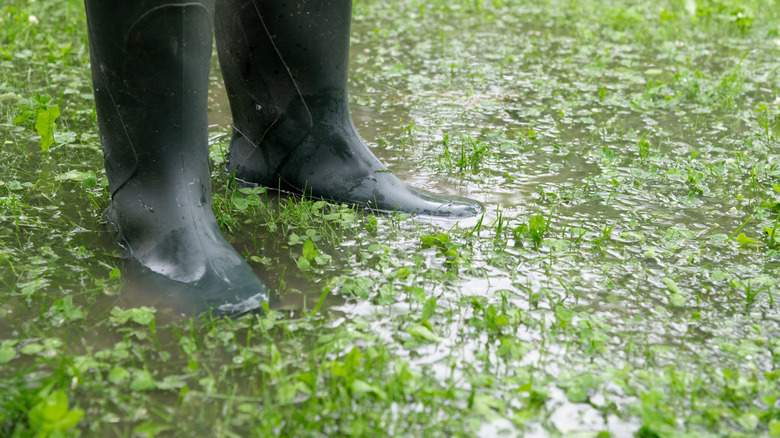 person in boots standing in flooded yard