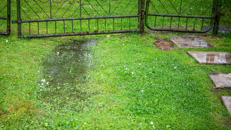 water pooling in low spot in yard