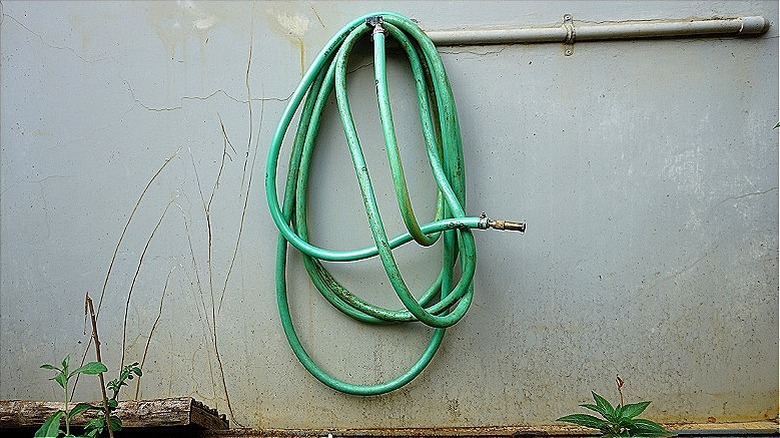 An aged water hose hanging in garden