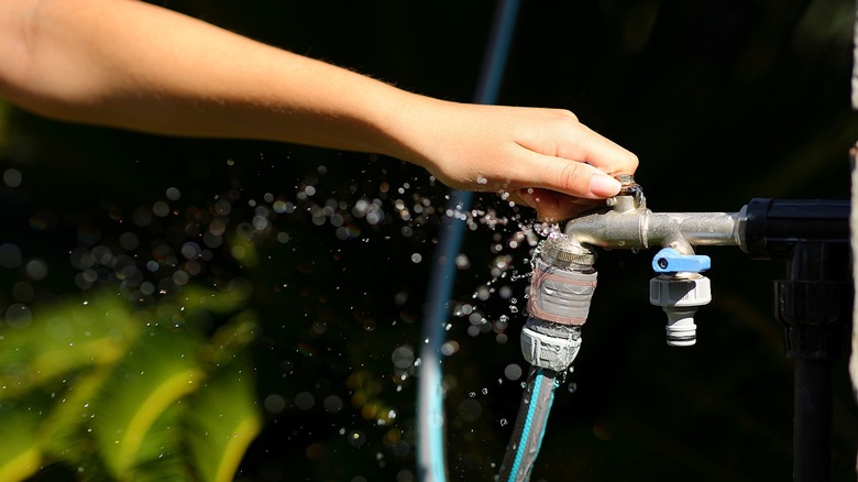 Close-up of a person's hand adjusting an outdoor water faucet with a leaking hose