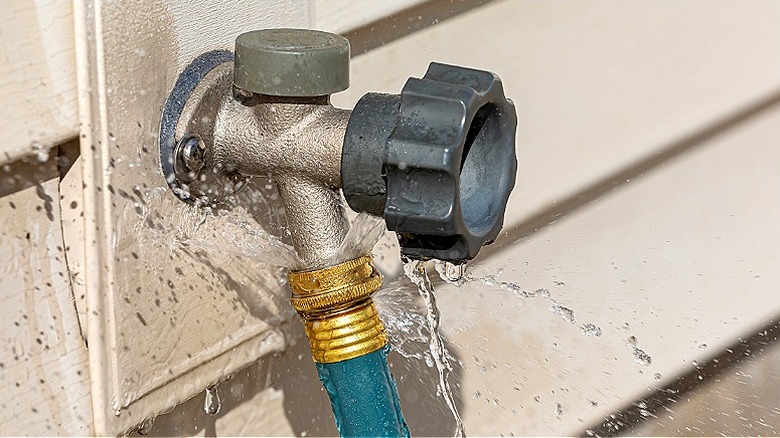 Close-up of a garden hose leaking at spigot