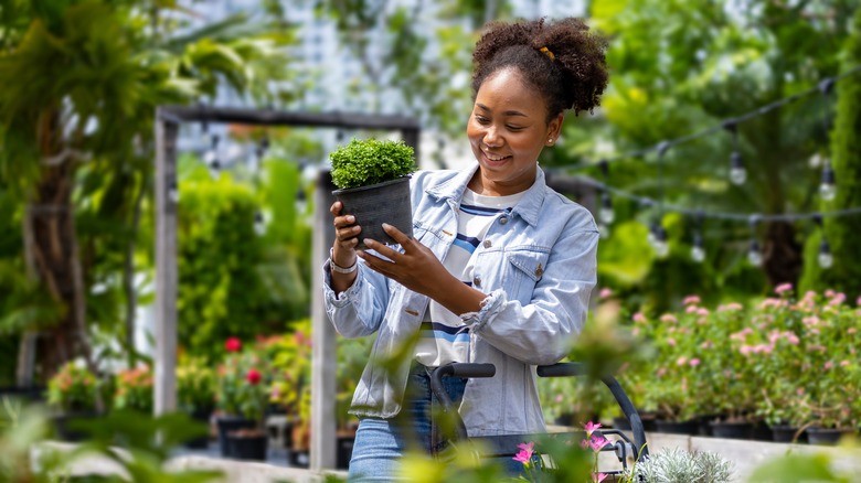 Customer picking out houseplant