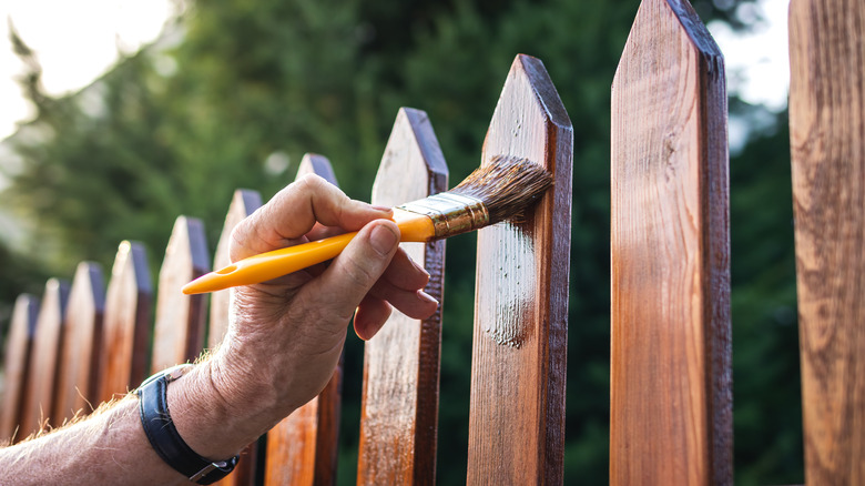man staining wooden fence