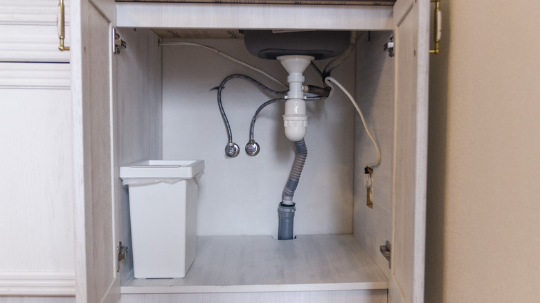 Plumbing behind open cabinet doors