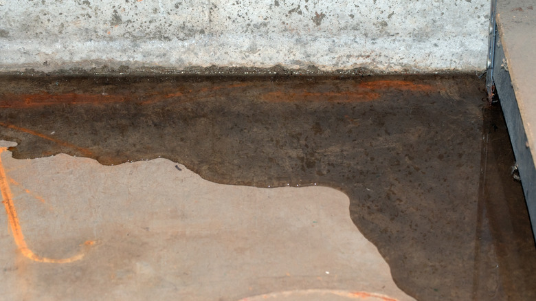 pool of water in basement