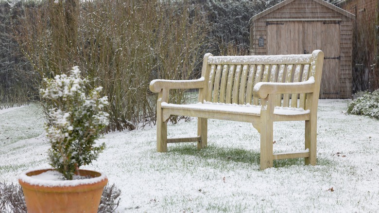 lawn covered in snow