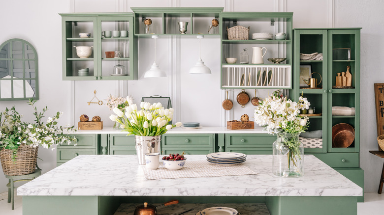 Green open shelves in kitchen
