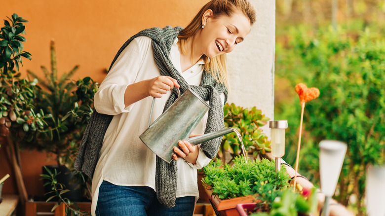 woman watering container plants