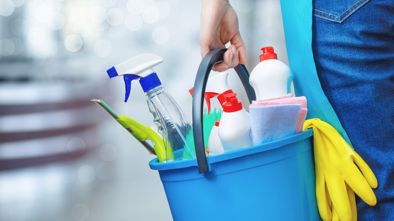 Person holding cleaning supplies