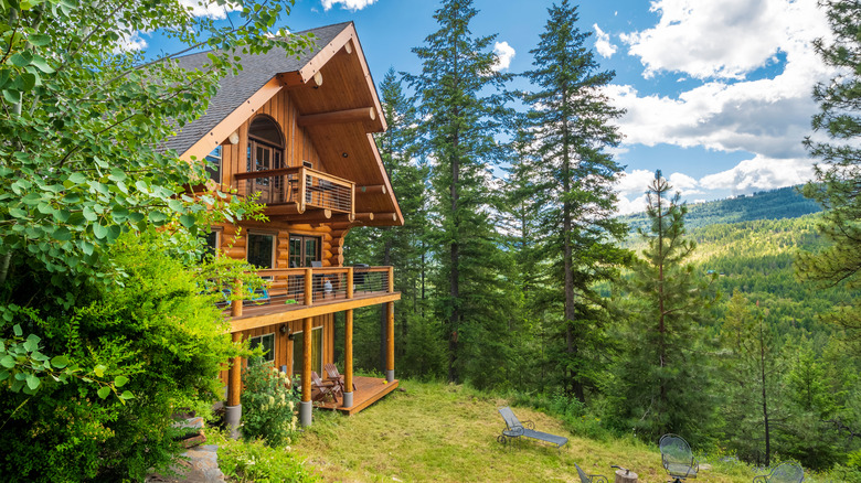 Cabin in a forest