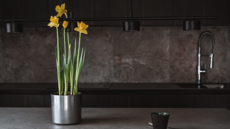 charcoal gray kitchen