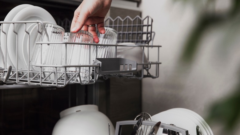 person loading a dishwasher