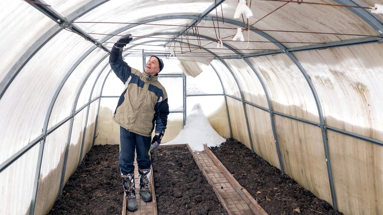 Greenhouse renovation