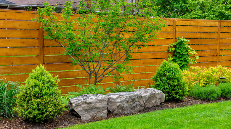 wooden fence