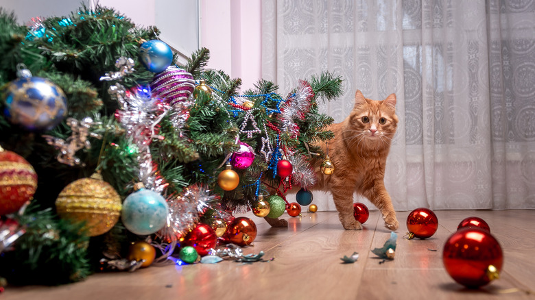 cat knocking over a Christmas tree