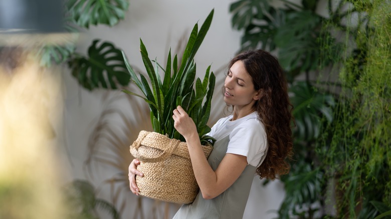 Woman carrying houseplant