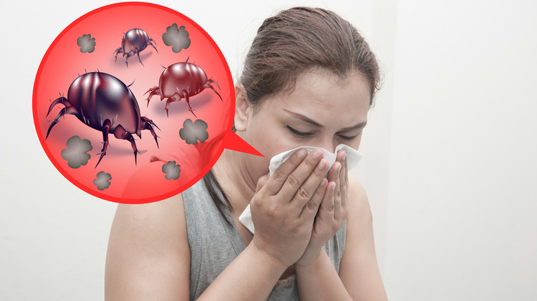 allergy due to dust mite concept