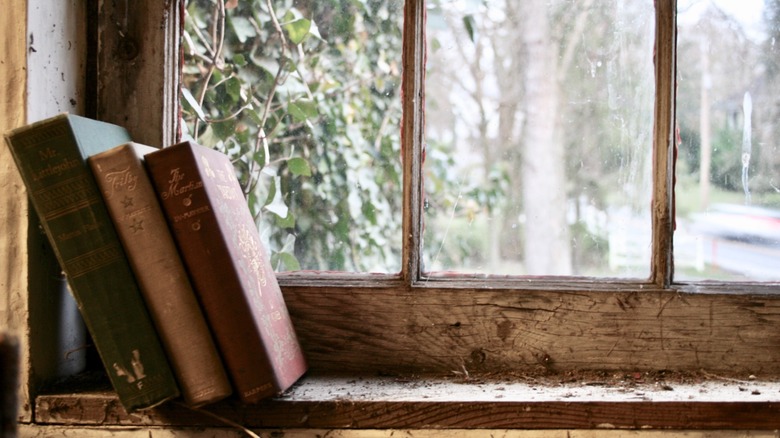 Books resting on old windowsill