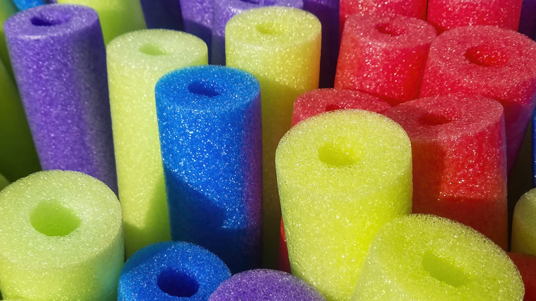 various multicolored pool noodles