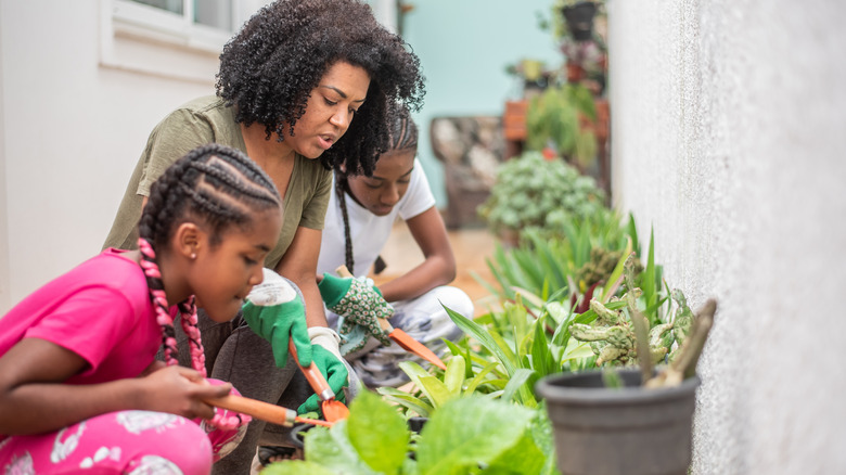 Family gardening