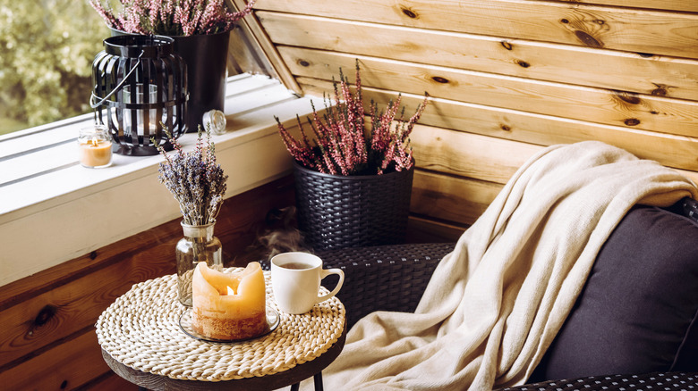 Plants in decor scheme