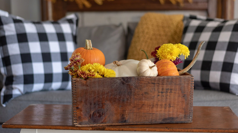 Patterned pillows with fall decor