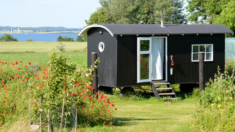 tiny house in a field